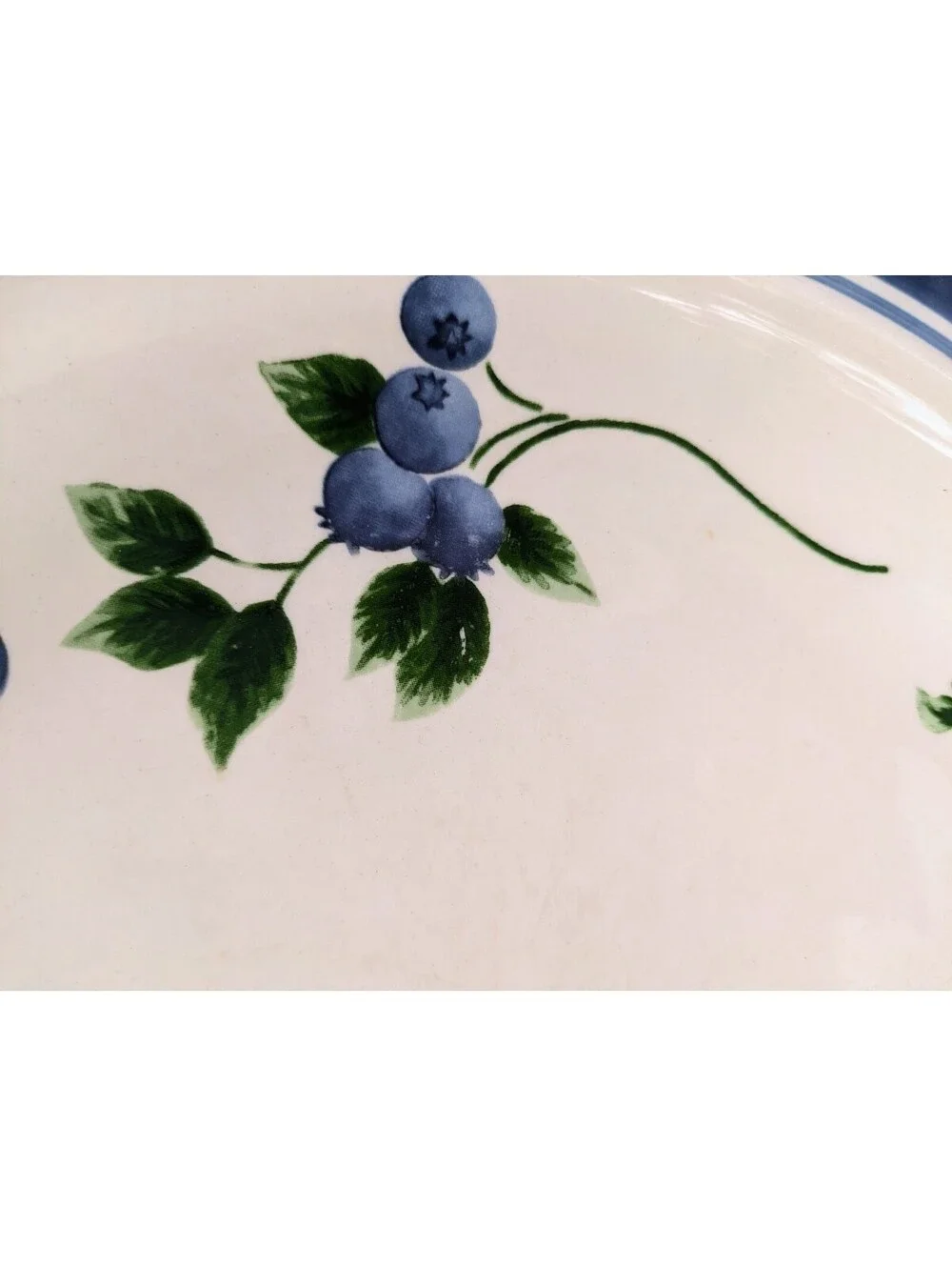 Vintage L.L. Bean Blueberry Dinner Plates, 11